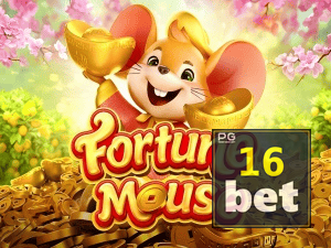 16WIN login — configurações de segurança e proteção de conta